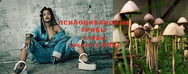 2c-b Липки
